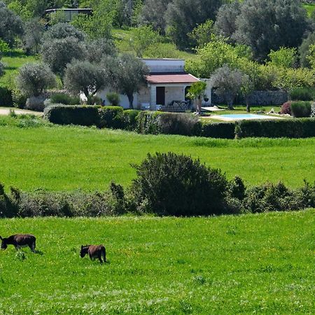 Terra Sessana Ville E Trullo Con Piscina Privata オストゥーニ エクステリア 写真