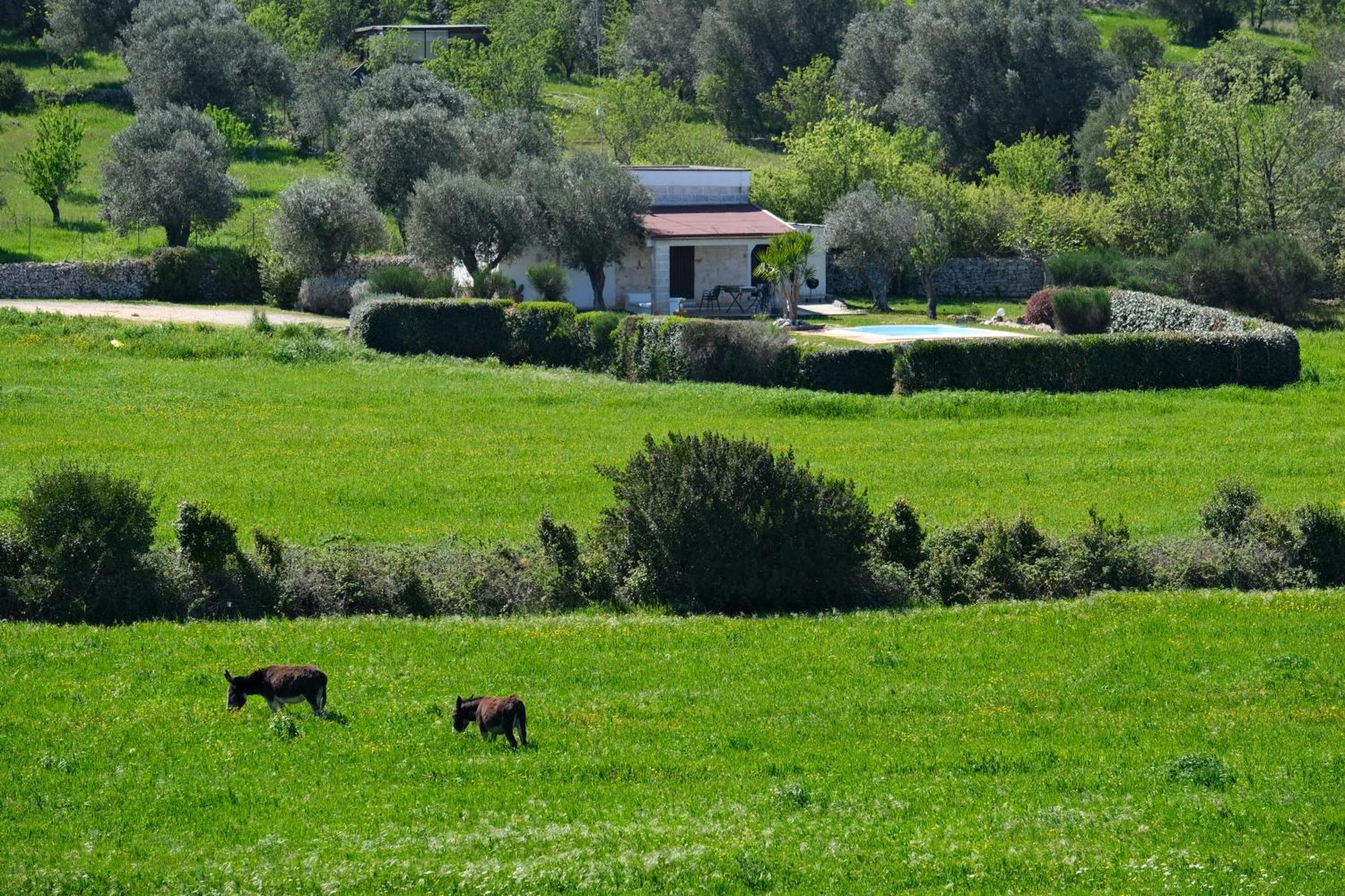 Terra Sessana Ville E Trullo Con Piscina Privata オストゥーニ エクステリア 写真